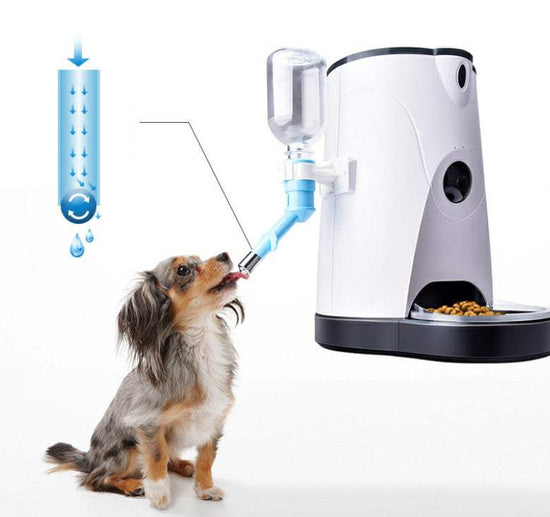 pet-automatic-feeder