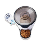 pet-automatic-feeder