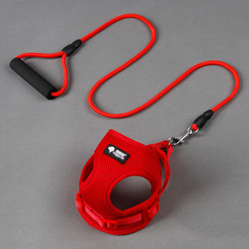 Dog leash