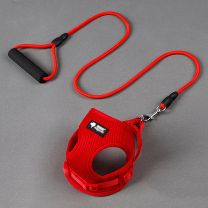 Dog leash