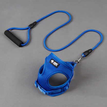 Dog leash
